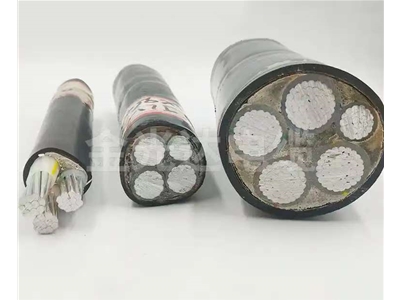 鋁芯低壓電纜 (10)