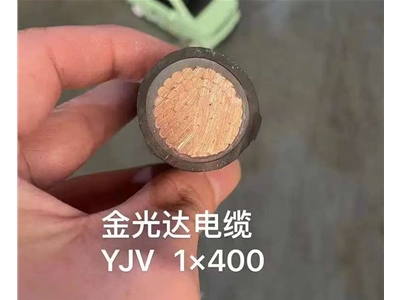 金光達電纜YJV-1X400