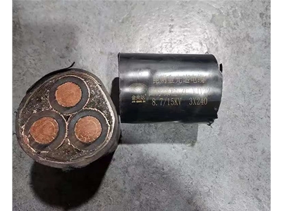 金光達(dá)電纜YJV22-3X240