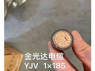 金光達(dá)電纜YJV-1x185