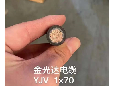 金光達(dá)電纜YJV-1X70